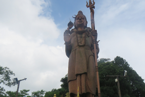 16 daagse hoogtepuntenreis in nepal 41