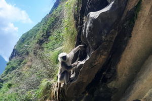 annapurna sanctuary trek annapurna base camp 12 dagen 34