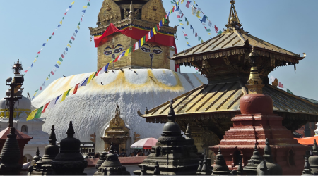 chitwan of bardia national park 8