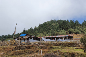 helambu trektocht 8 dagen 23