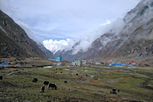 langtang vallei trek 9 dagen 2