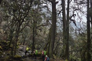 langtang vallei trek 9 dagen 66