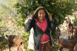 sailung trek indigenous people trail 42