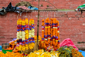 spirituele reis naar nepal 7