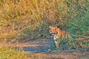 spirituele reis naar nepal boeddhistische tempels yoga in de himalaya 191