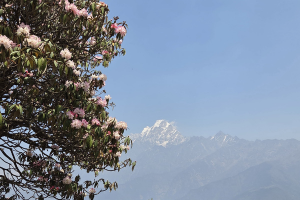 tamang heritage trek 7 dagen 6