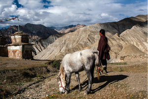 upper dolpo trek camping 15