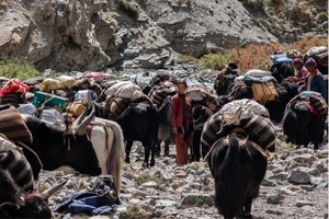 upper dolpo trek camping 16