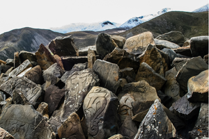 upper dolpo trek camping 19