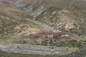 upper dolpo trek camping 32