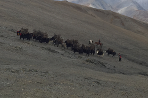 upper dolpo trek camping 33