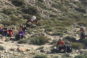 upper dolpo trek camping 39