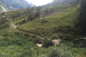 upper dolpo trek camping 46