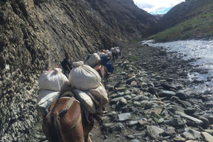 upper dolpo trek camping 54