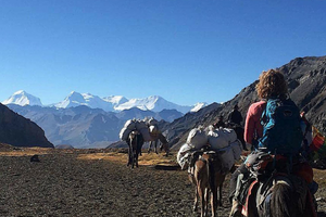 upper dolpo trek camping 63