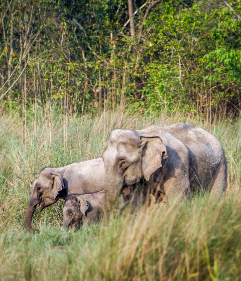 over nepal reisbestemming nepal