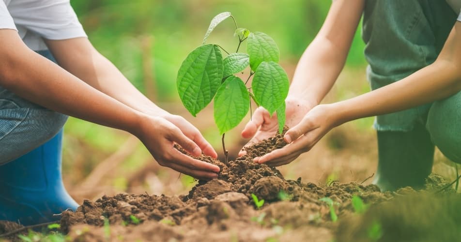 Travellers planting a tree in a community forest in Nepal